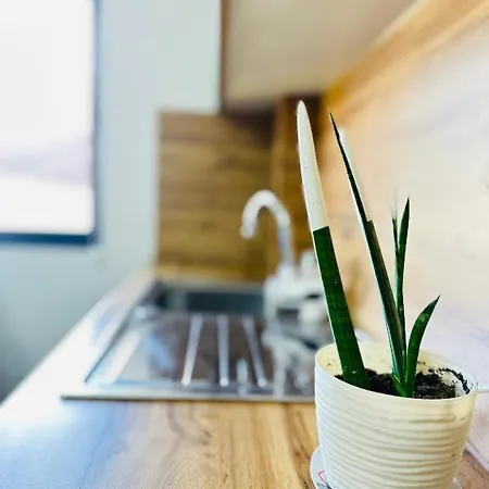 Апартаменты Prime Location Cozy Near Pazari I Ri *