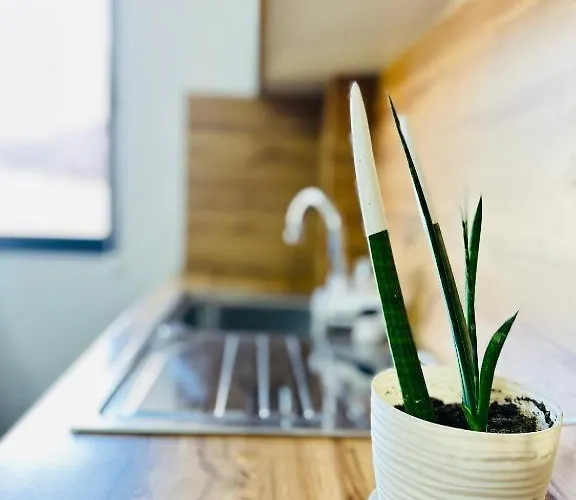 דירה Prime Location Cozy Near Pazari I Ri *